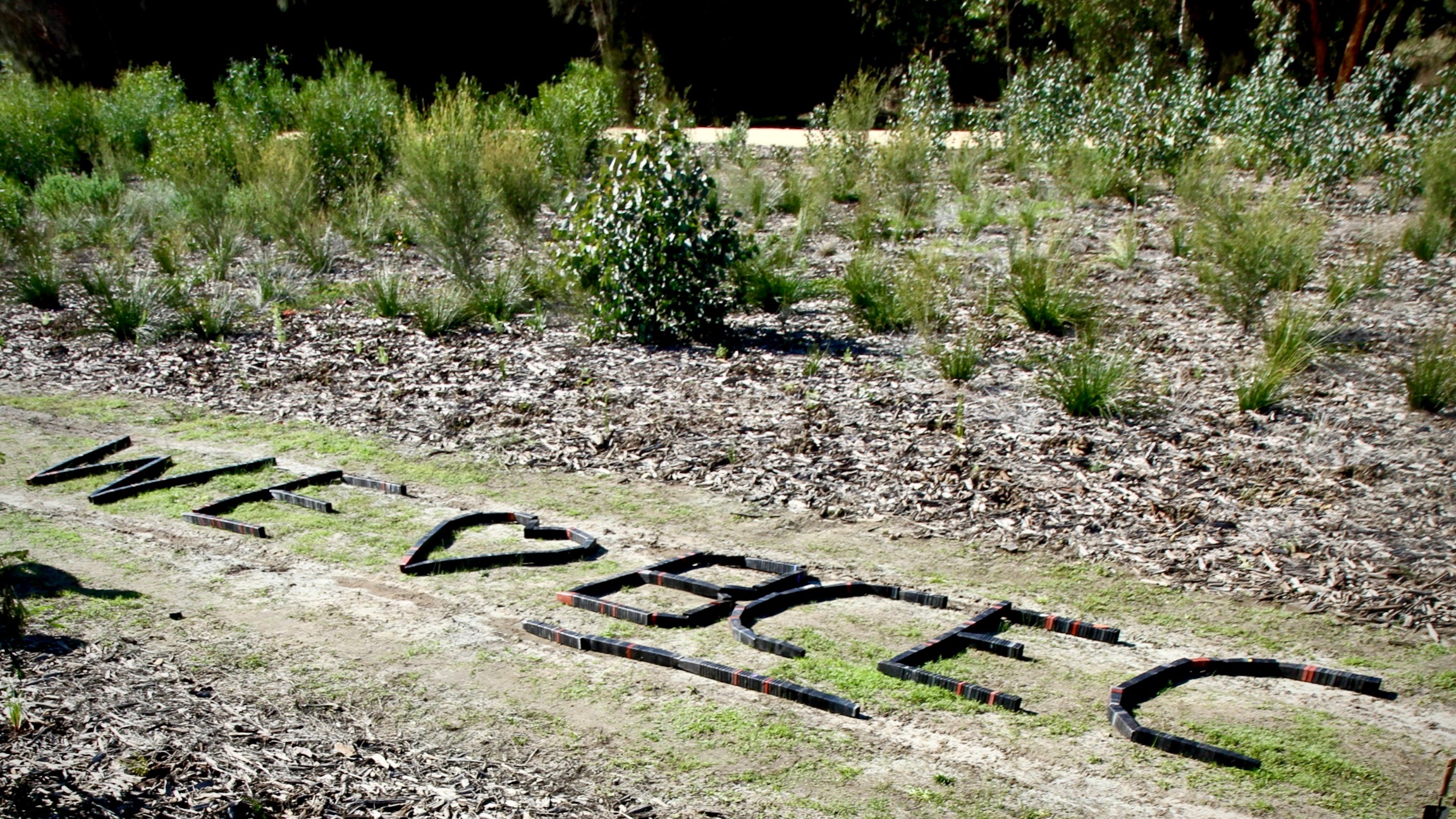 Volunteers planting native seedlings across the Garvey Park site