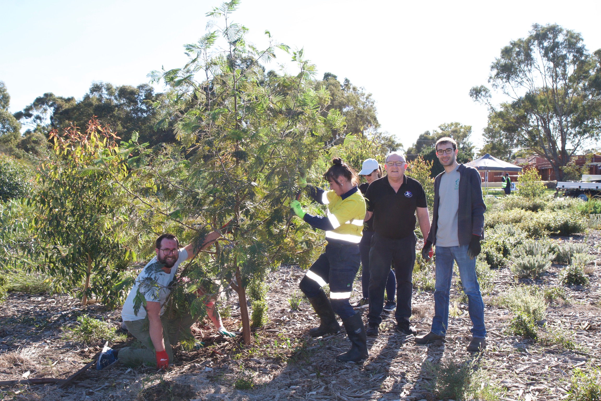 Volunteers supporting tree establishment at Garvey Park