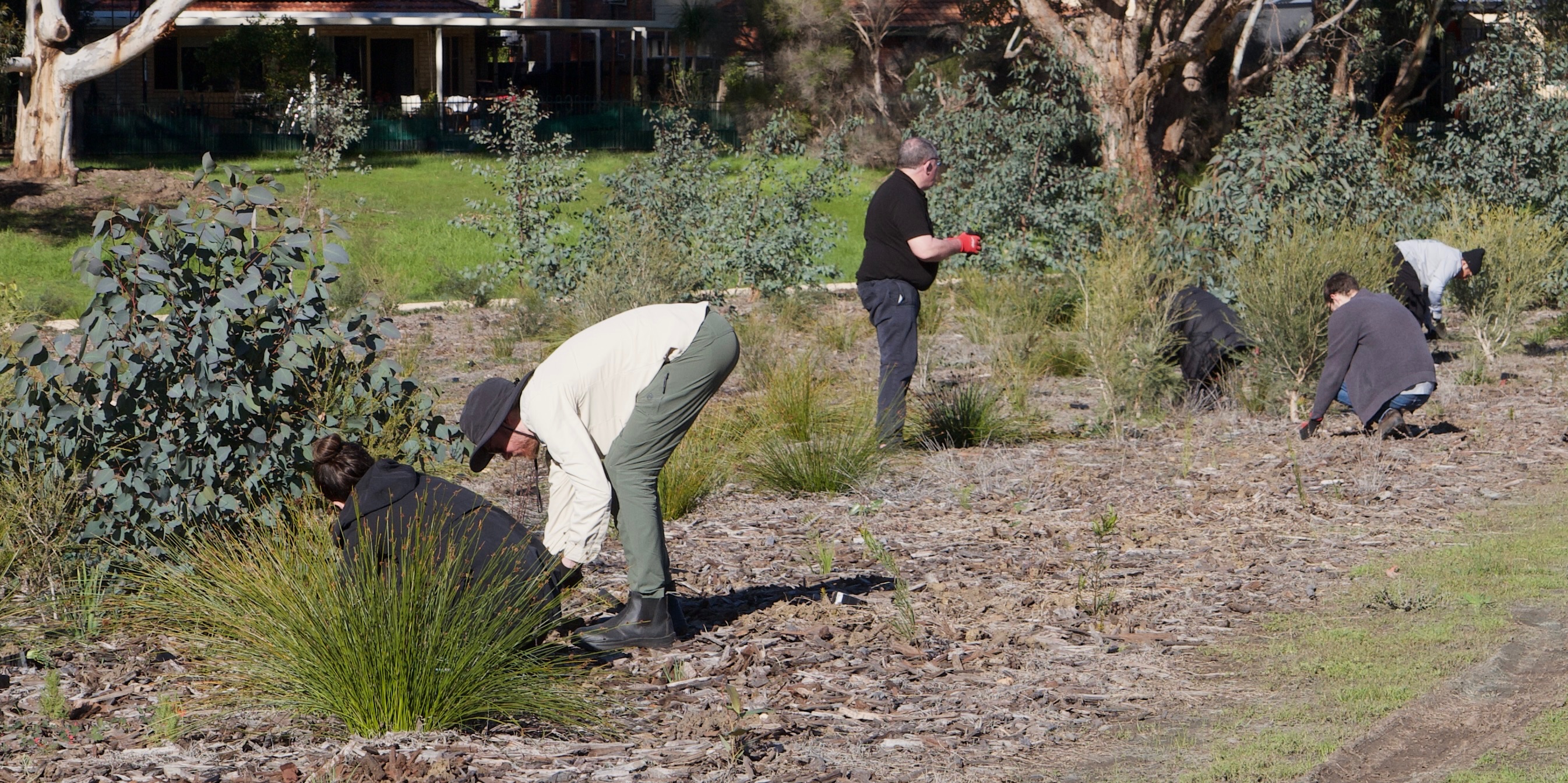 Wide landscape view of Garvey Park planting effort