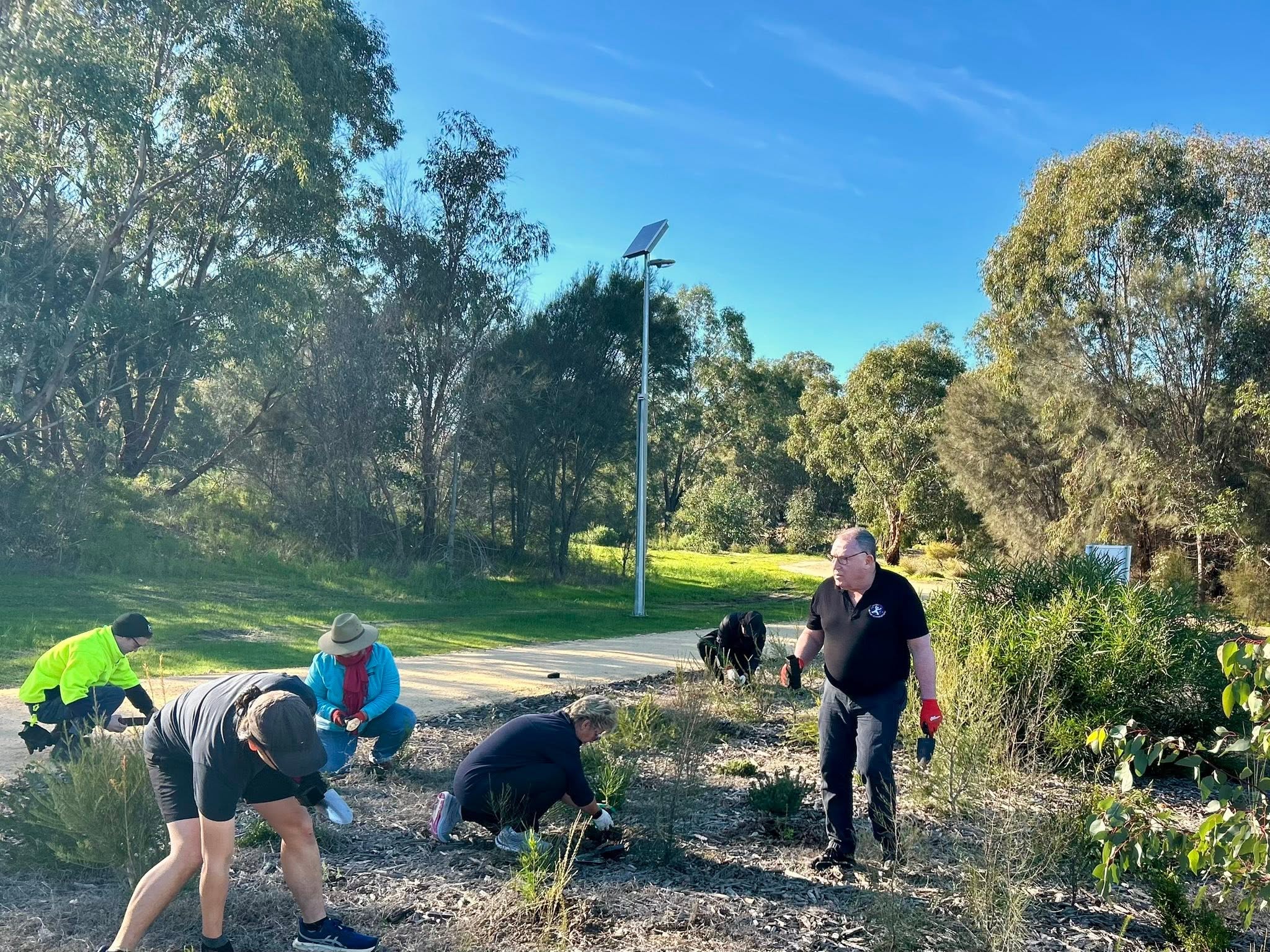 Busy planting activity during the Garvey Park Green-up