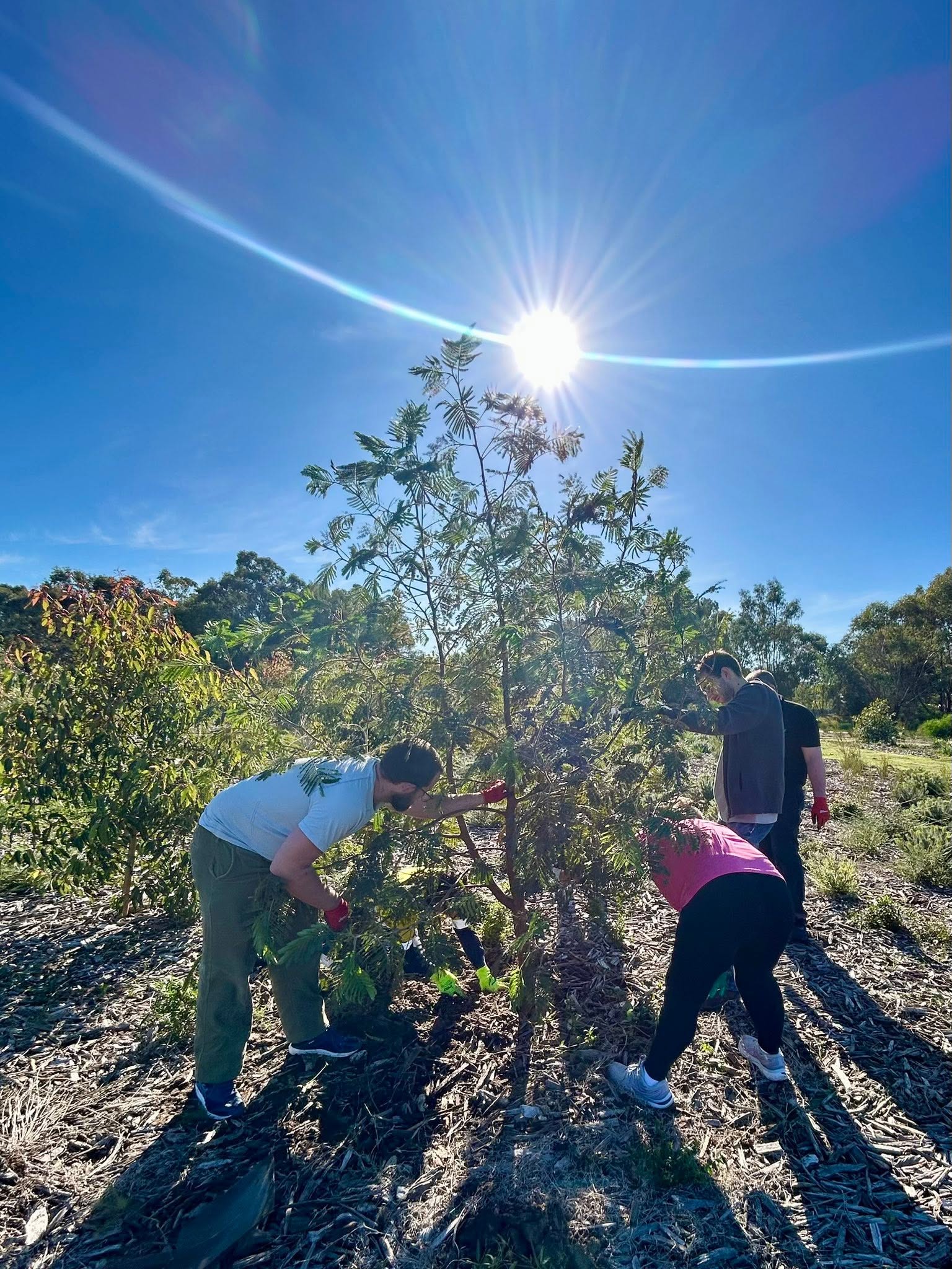 Community crowd gathered for the Garvey Park tree-up