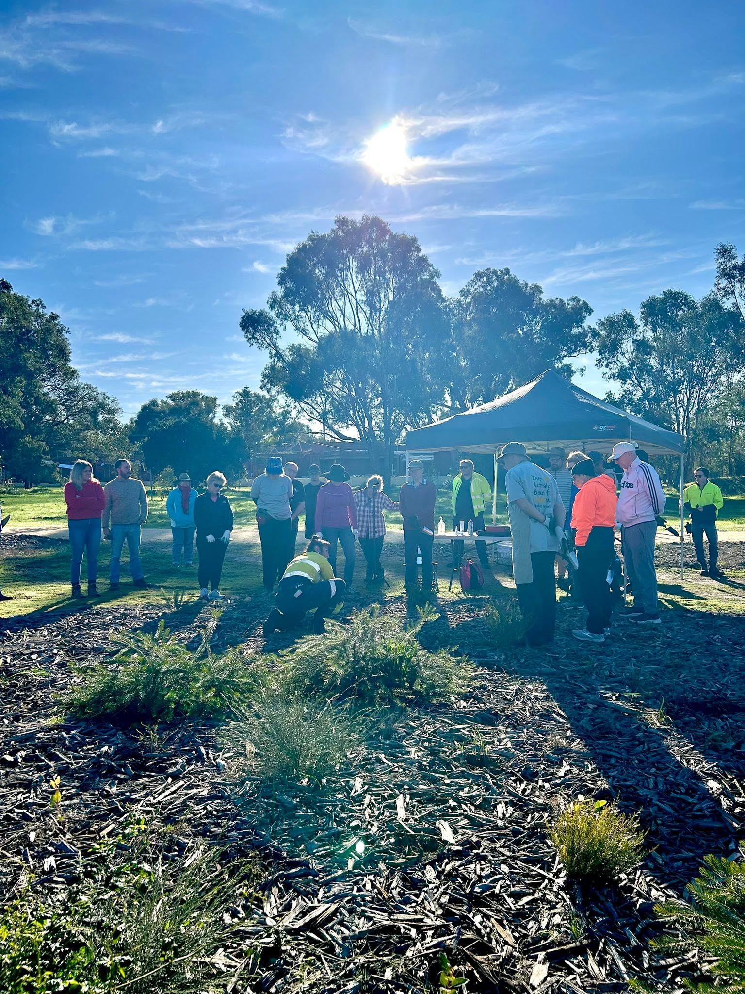 Wide shot of the Garvey Park community planting day